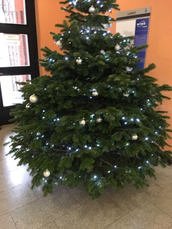 Es weihnachtet wieder an der HTWK