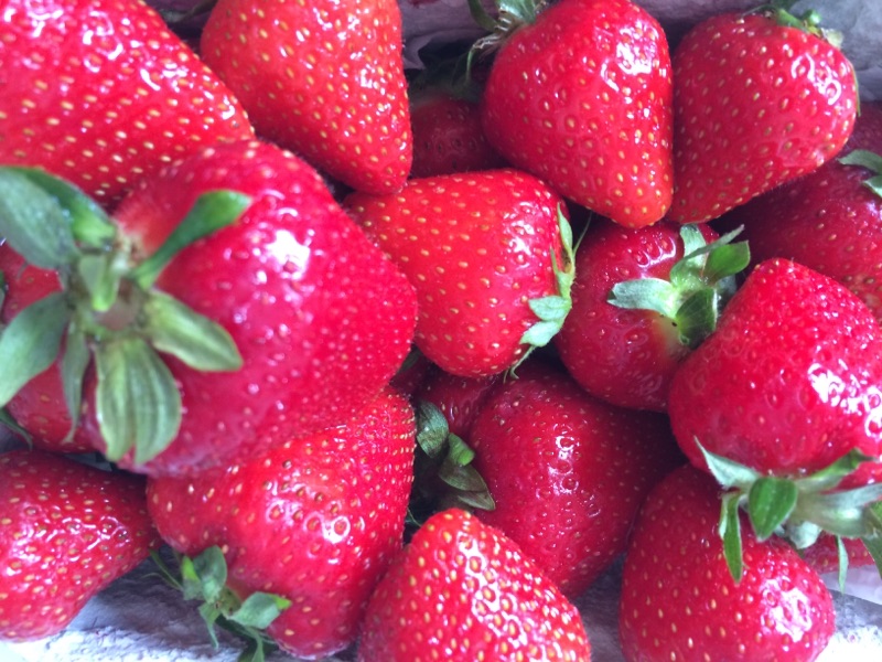 Erdbeeren aus Deutschland direkt vom Kreuz