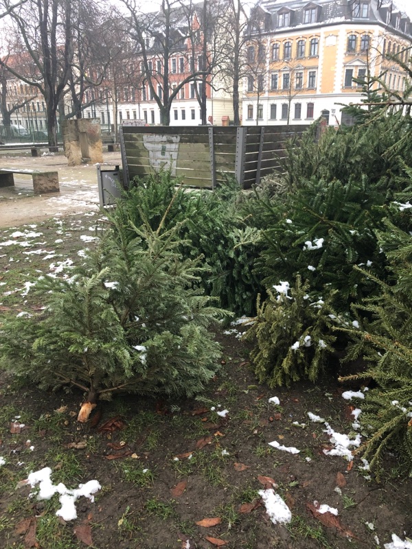 Ablagestelle für Weihnachtsbäume Altlindenau