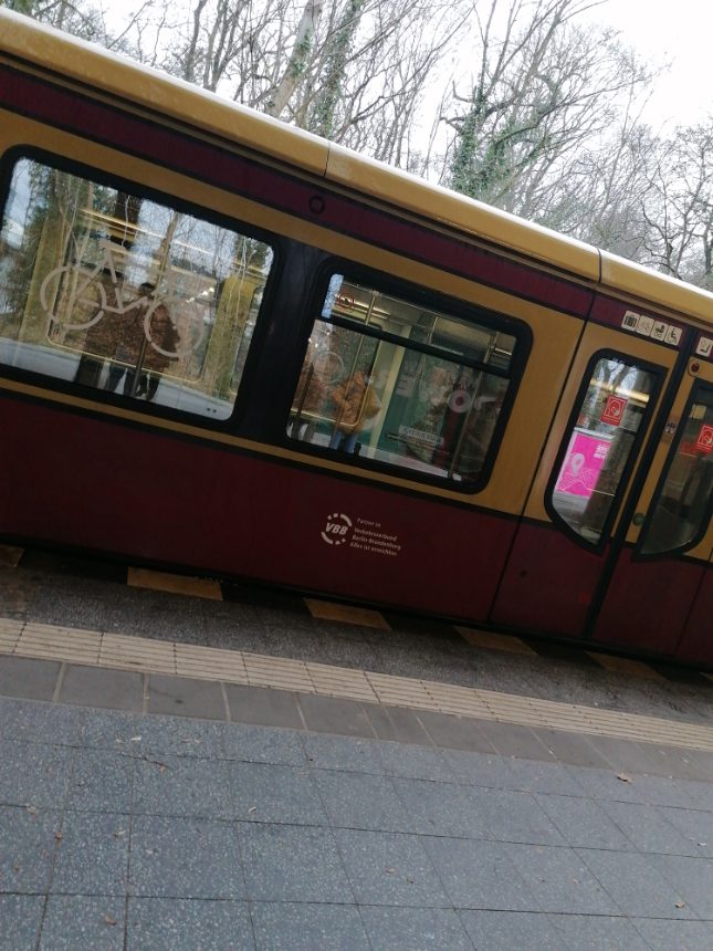 S-Bahn in Waidmanslust steht still